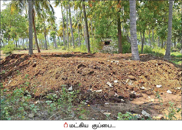 ஆண்டுக்கு ரூ4 லட்சம்... வறட்சியிலும் வாழ வைக்கும் இயற்கை கொய்யா!