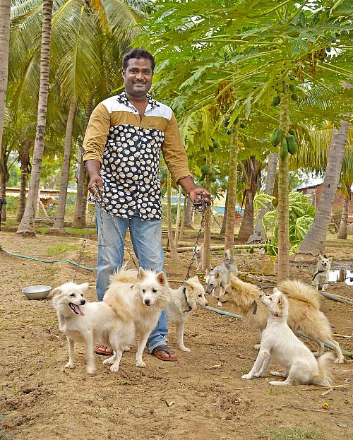 என் செல்லமே...