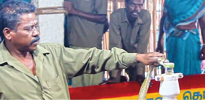 பாம்பு விஷத்துக்கு ஜி.எஸ்.டி! - கொடுமையிலும் கொடுமை