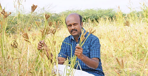 2 ஏக்கர்... 6 வகை பயிர்கள்... ரூ 43 ஆயிரம்...