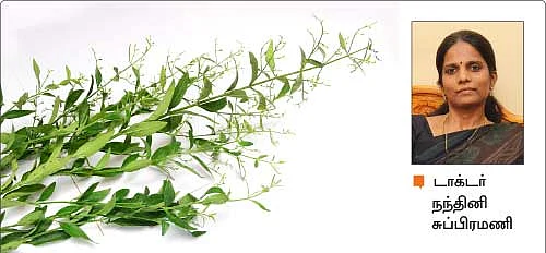 மீண்டும் ‘டெங்கு’ தப்புவது எப்படி? உஷார் டிப்ஸ்..