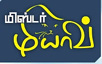 மிஸ்டர் மியாவ்