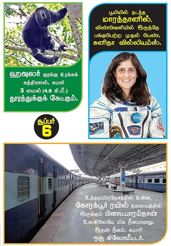 சூப்பர் 6