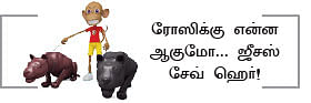 ஆபரேஷன் நோவா - 30
