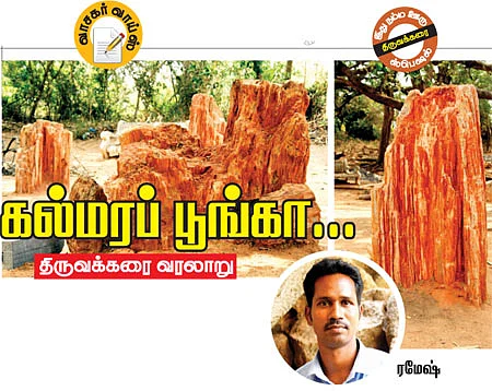 கல்மரப் பூங்கா... - திருவக்கரை வரலாறு