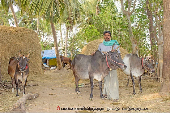 11 ஏக்கர்... ஆண்டுக்கு ரூ 11 லட்சம்!
