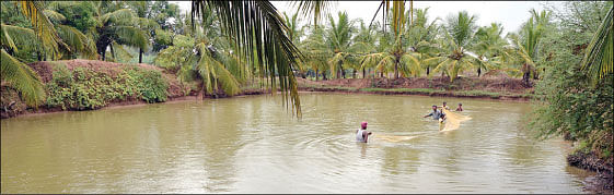 நீங்கள் கேட்டவை
