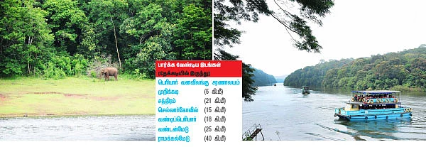 ஒரு சிறிய வனம்... அதில் எங்கள் மனம்!