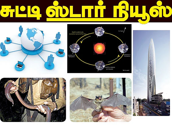 சுட்டி ஸ்டார் நியூஸ்