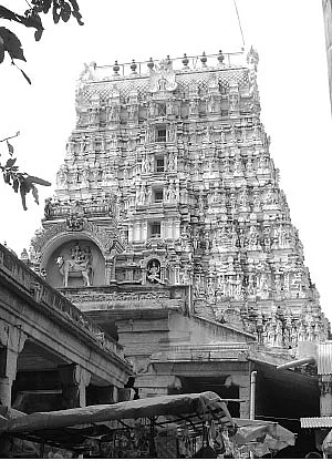 தமிழ் முனிவர் அருளிய தனிப் பெருங்கொடை தாமிரபரணி-2