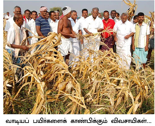 'தூத்துக்குடியை வறட்சி மாவட்டமாக அறிவிக்க வேண்டும்'