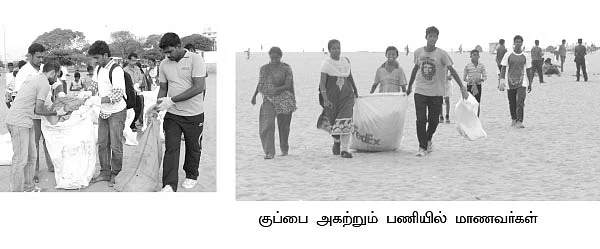தென்னையைச் செழிக்க வைக்கும் மூடாக்கு மந்திரம்!