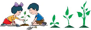 எஃப்.ஏ தந்த விதைப் பந்துகள்!