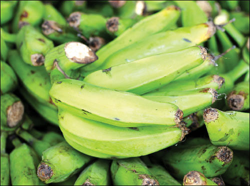 நல்லனவெல்லாம் தரும் நாட்டுக்காய்கறிகள்