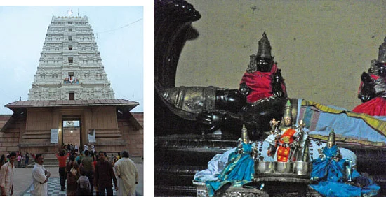 பிருந்தாவனம் முதல்... பிரயாகை வரை!