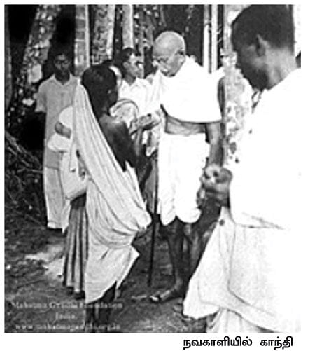 எனது இந்தியா!