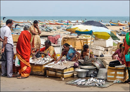 சென்னை டே 2018 - இன்ஃபோ புக்