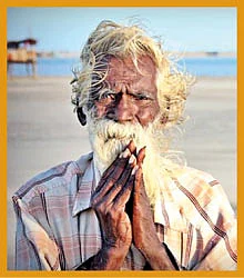 வலையோசை