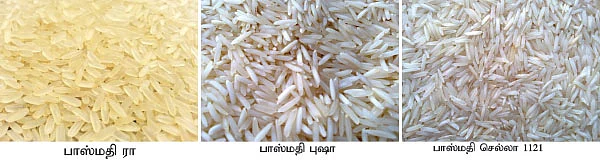 பாஸ்மதி அரிசி ஏற்றுமதி!