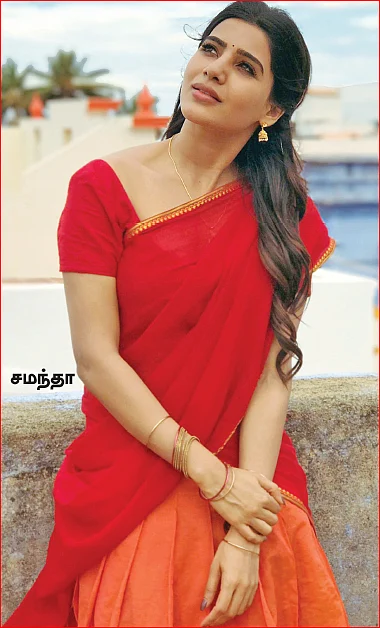 மிஸ்டர் மியாவ்