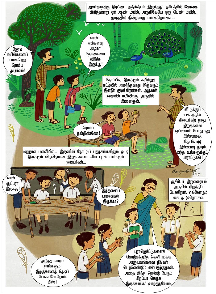 இறகுகள் தந்த தேடல்!