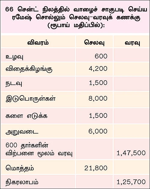 60 சென்ட் நிலம்... ரூ 1 லட்சம் லாபம்... - இனிக்கும் ‘இயற்கை’ வாழை!