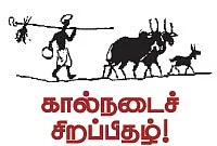 பால் உற்பத்தியைப் பெருக்கும் பலே யோசனைகள்...