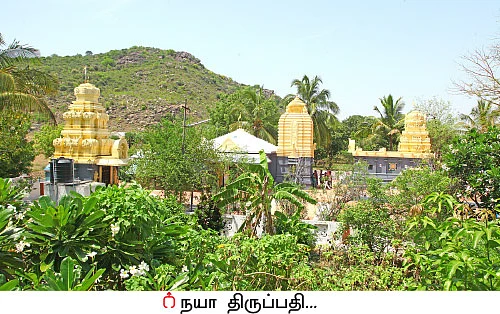‘‘இயற்கை விவசாயம்தான் நிலைத்து நிற்கும்..!’’