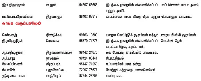 பசுமை சந்தை