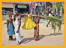 அய்யனார் கோயில் தீர்த்தக்குளம்!