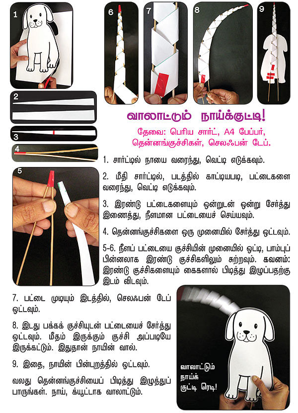 வாலாட்டும் நாய்க்குட்டி !