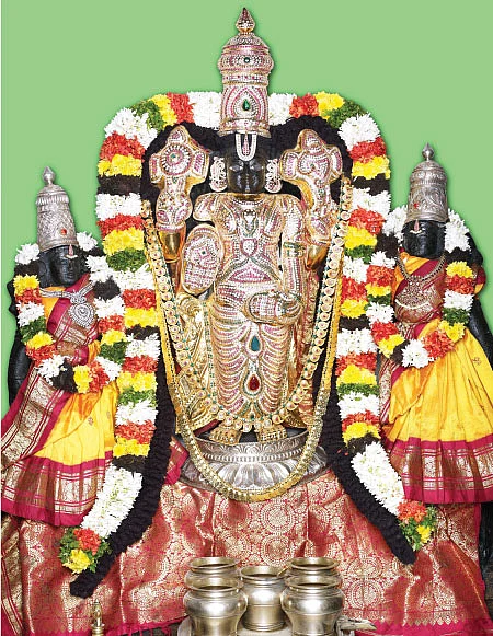 புற்றில் குடிகொண்ட ஏழுமலையான்!
