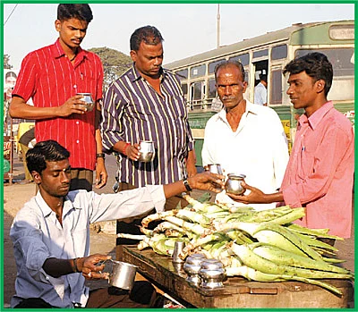 கற்றாழை தந்தது கார், பங்களா!