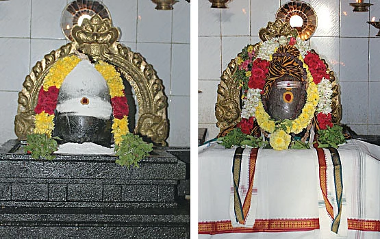 சக்தி சபா - உங்களுடன்... நீங்கள்!
