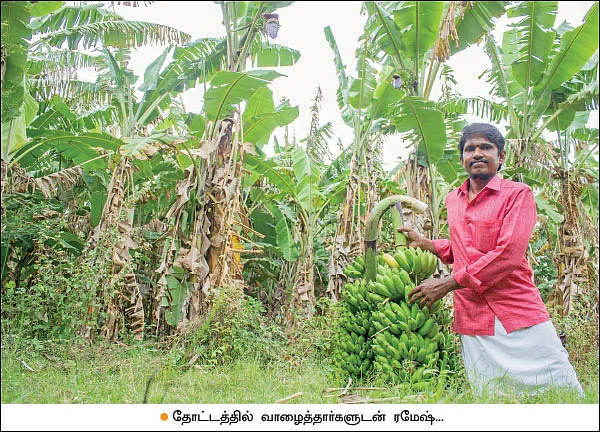 60 சென்ட் நிலம்... ரூ 1 லட்சம் லாபம்... - இனிக்கும் ‘இயற்கை’ வாழை!