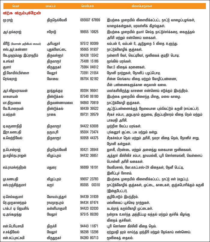 பசுமை சந்தை