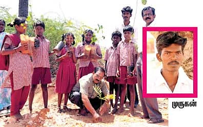 இயற்கையே இறைவன்... மரங்களே வரங்கள் !