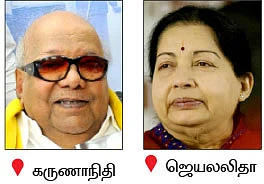 அழிவின் விளிம்பில் அரசாங்க பனை... இது, ஆட்சியாளர்கள் செய்த வினை!