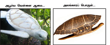 மாயா டீச்சரின் மந்திரக் கம்பளம் !