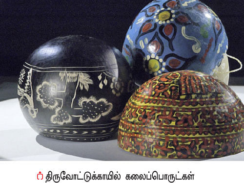 நீங்கள் கேட்டவை: தேனீக்கள் யானைகளை விரட்டுமா?