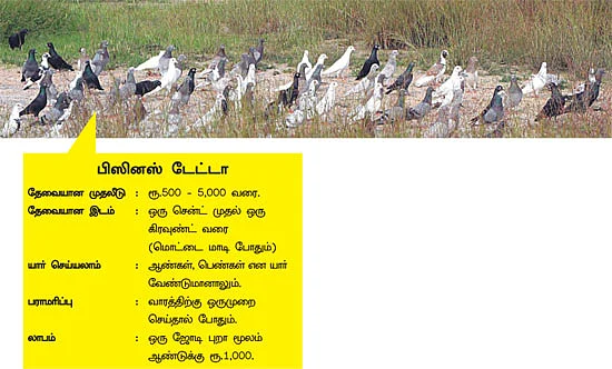 அழகா செய்தால் அள்ளலாம் லாபம்! - 1