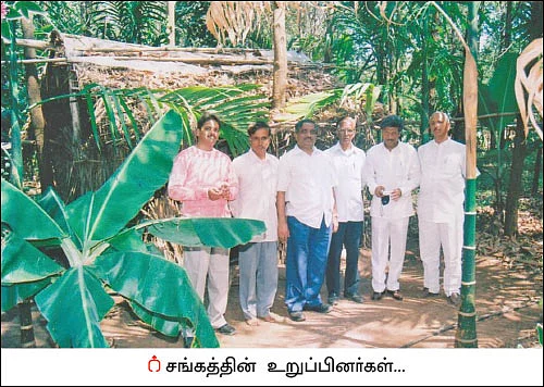 விளையும் விலையும்! - சந்தைக்கு வழிகாட்டும் தொடர் - 4