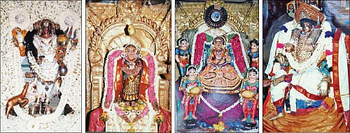 காரைக்கால் கனித் திருவிழா!