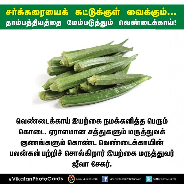 சர்க்கரையைக் கட்டுக்குள் வைக்கும்... தாம்பத்தியத்தை மேம்படுத்தும் வெண்டைக்காய்! #VikatanPhotoCards