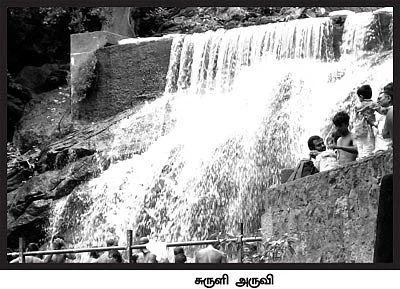 போலீஸ் கூட்டணியில் சுருளி மலை கொடூரம்