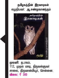 விடுமுறைக்கு புதிய நண்பர்கள் !