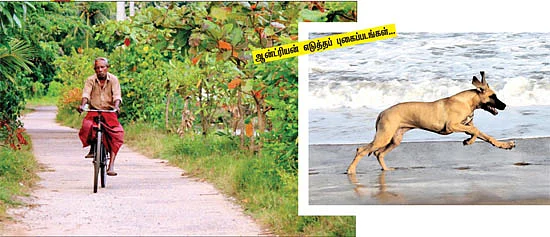 அழகு+திறமை = ஆன்ட்ரியன்!