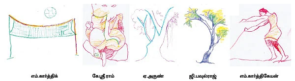 மெல்லிசா பல கோடுகள்!
