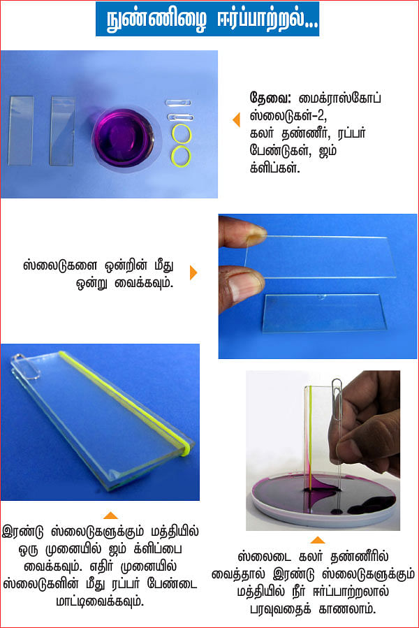 அறிவியல் பழகலாம் வாங்க!