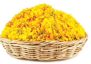 பாரம்பரியம் Vs பார்லர் - 11